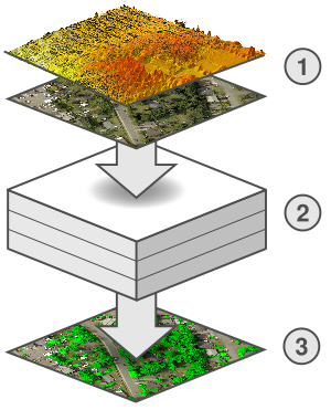 The canopy mapping process