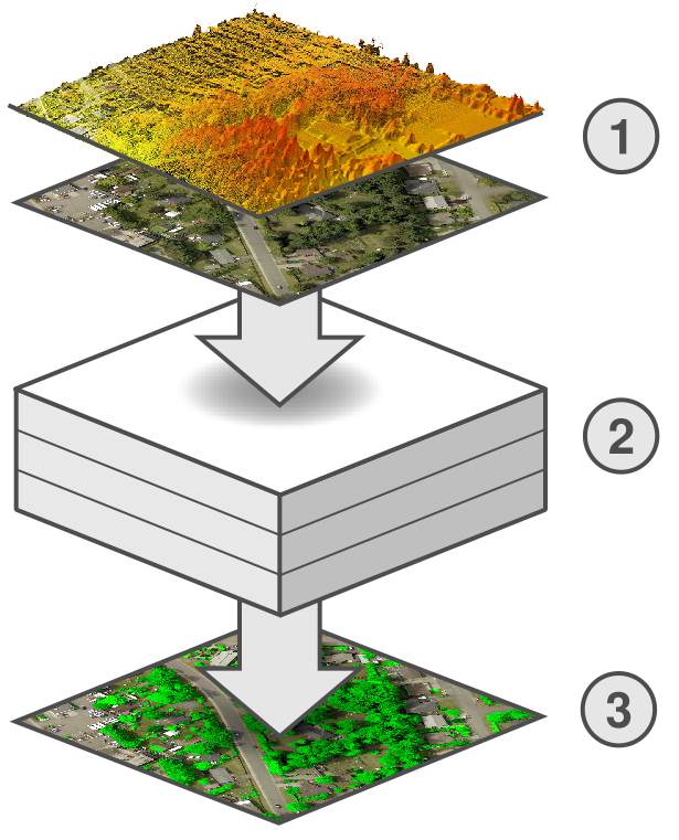 The canopy mapping process