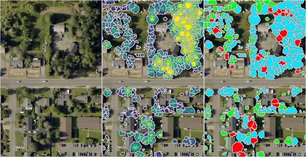 Examples of individually delinated and classified trees