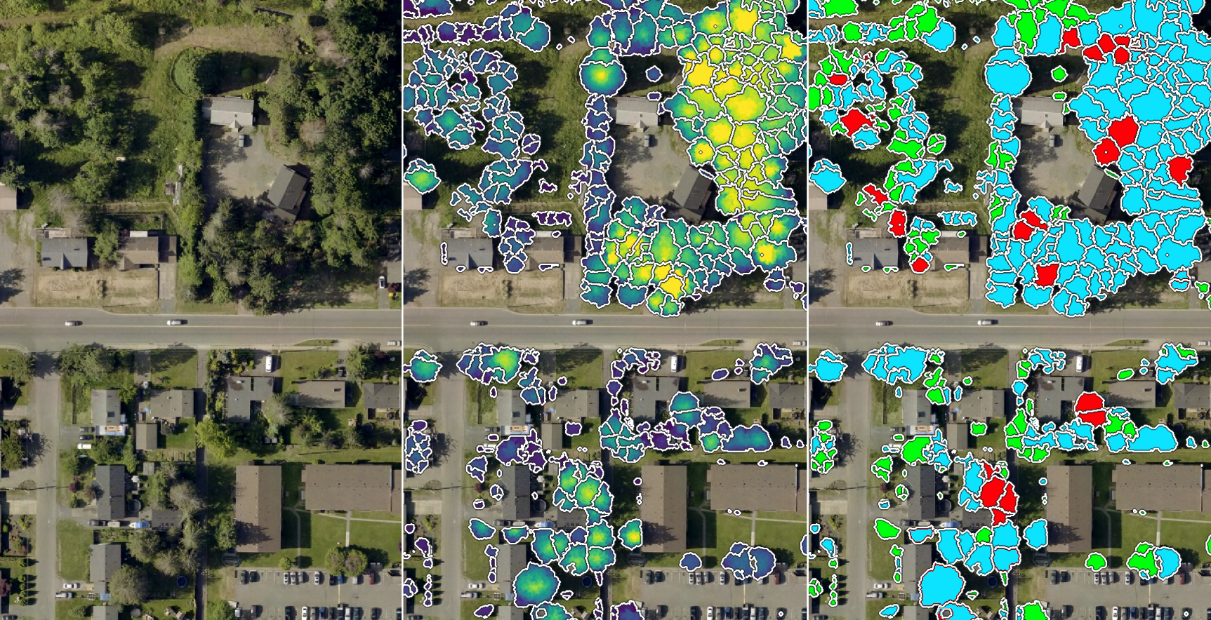 Examples of individually delinated and classified trees