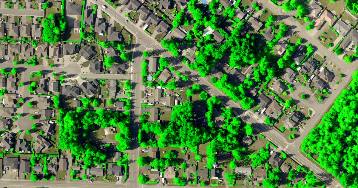Canopy Mapping