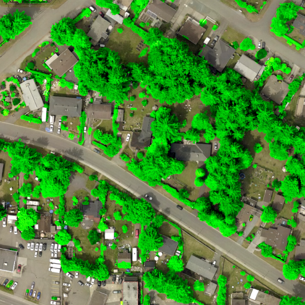 High resolution canopy may overlayed on orthographic imagery