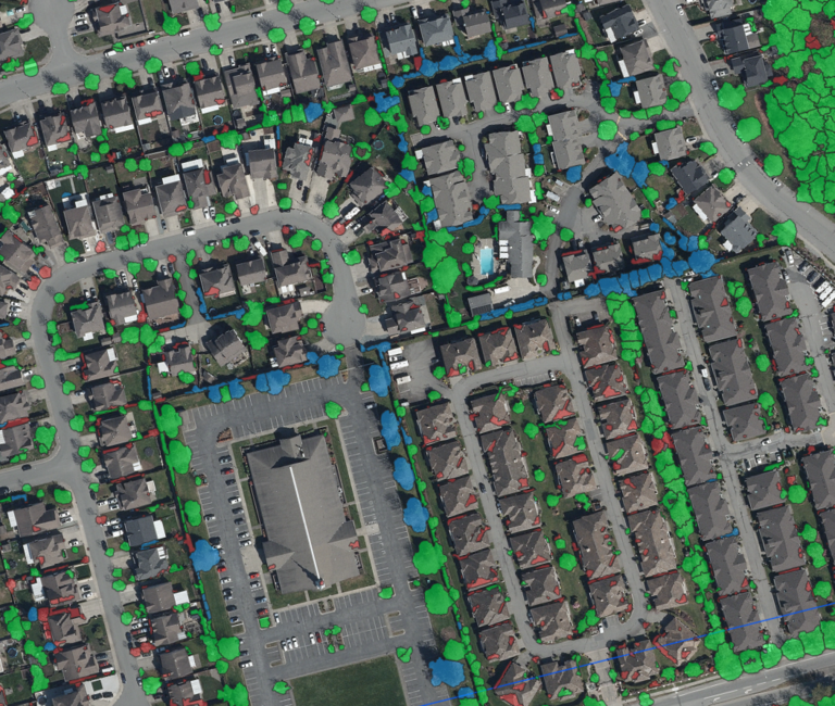 Urban tree crown outlines coloured according to class in Abbotsford, British Columbia
