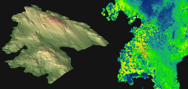 3D topographic model (left) and map of canopy height (right) in Ucluelet, British Columbia

